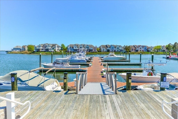 Marina