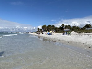 A beach with clear skies, palm trees, and beach chairs.