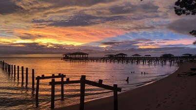 Frog Symphony! Sunsets! Beachfront!・Porch Swing Bed!・2x King Beds