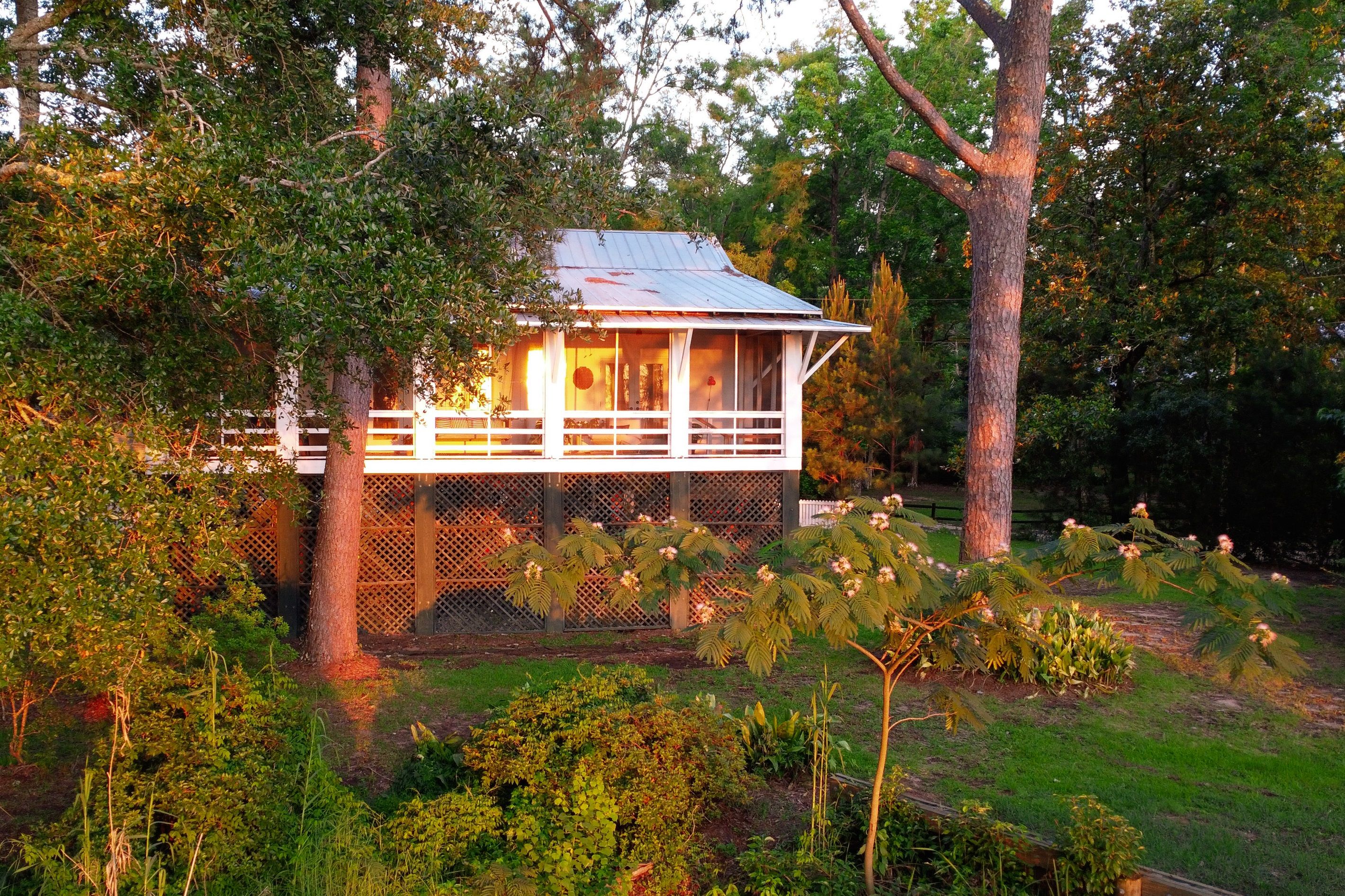 A small wooden cabin with a porch, surrounded by dense greenery and trees.