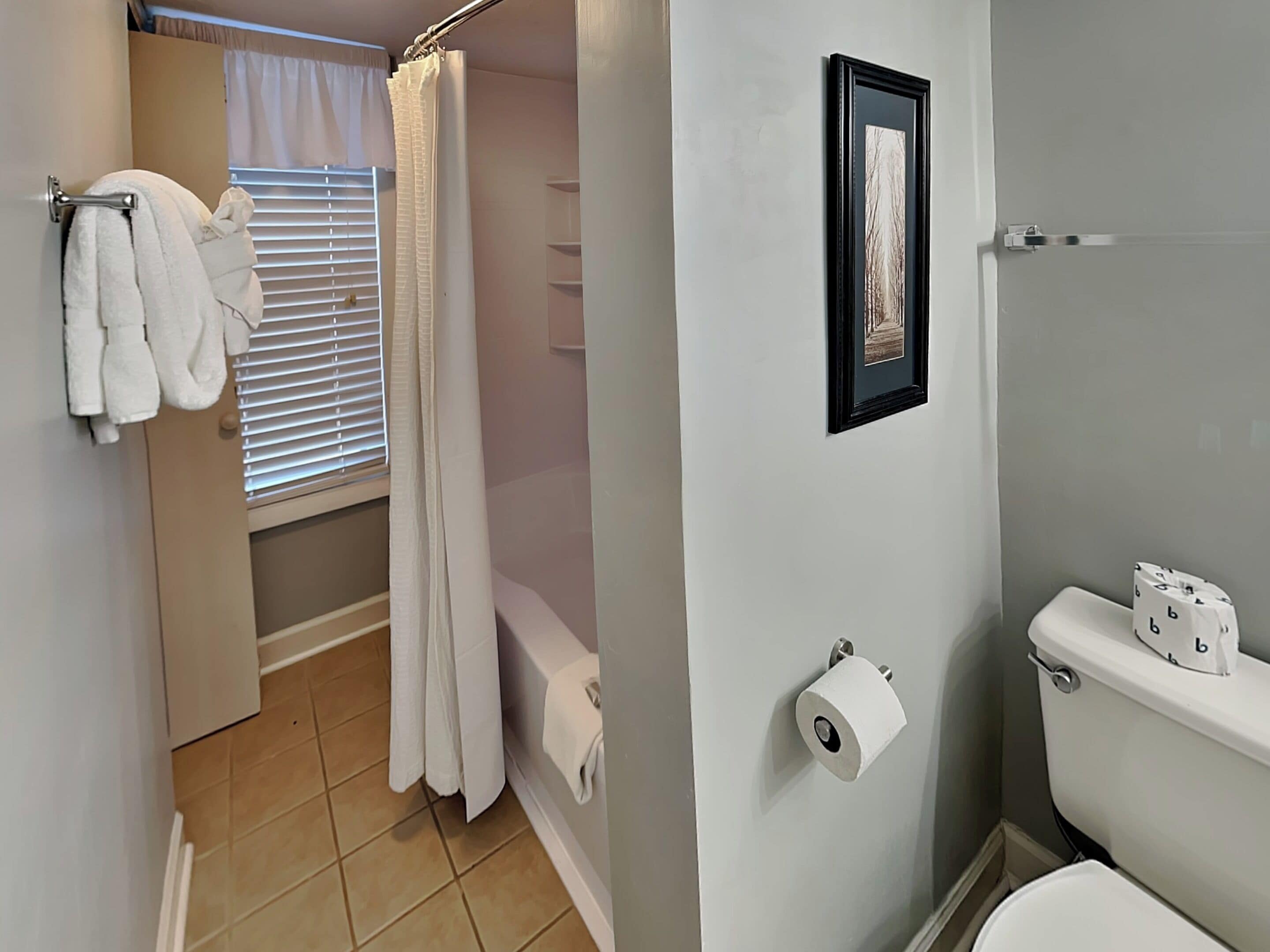 A bathroom with a toilet, a framed picture on the wall, and a shower curtain.