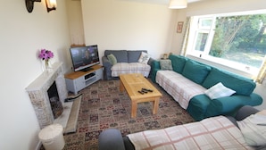 Ein Wohnzimmer mit Kamin, Fernseher, einer Couch, einem Couchtisch und einem Fenster mit Blick ins Grüne.