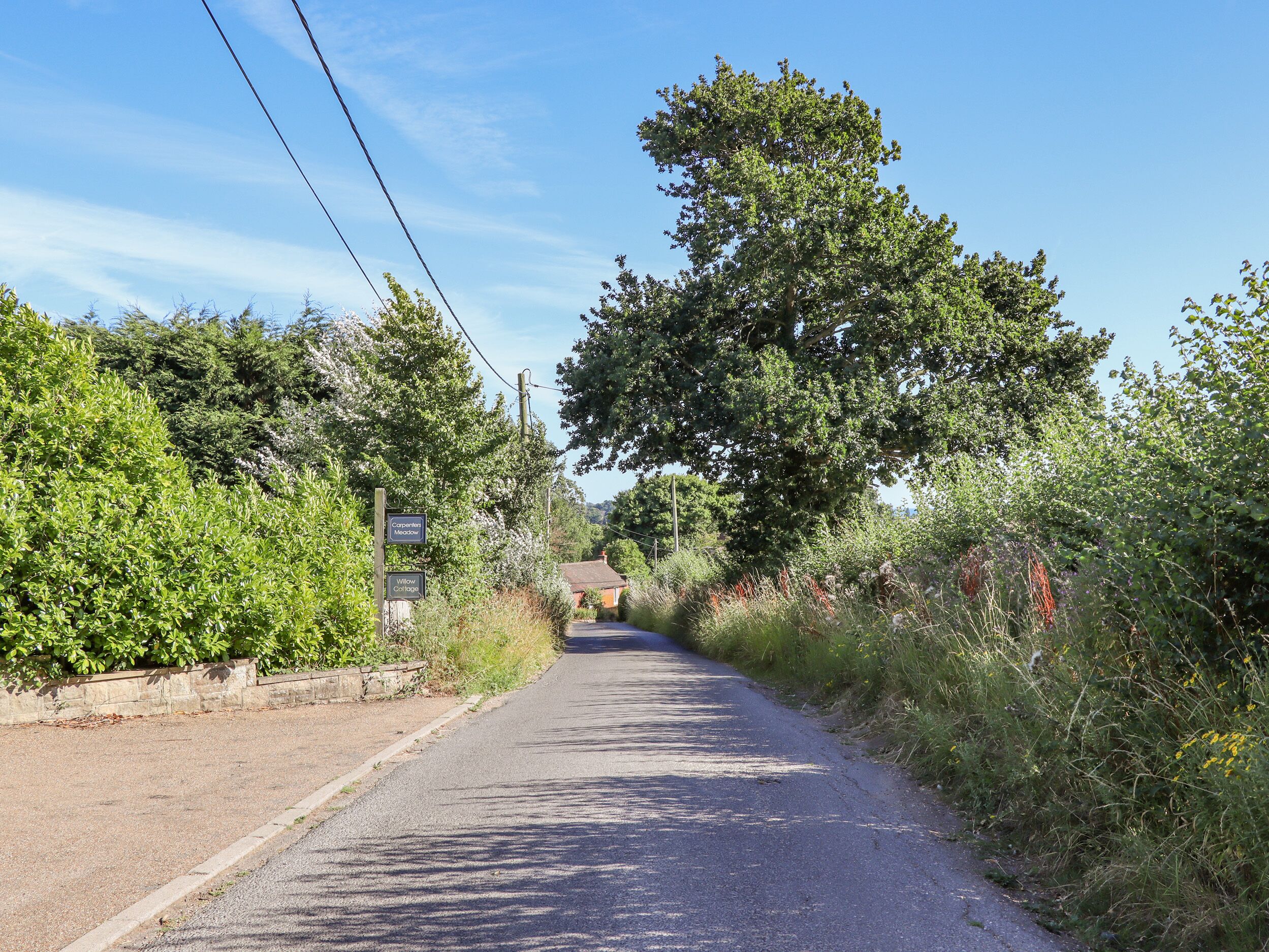 A narrow rural road flanked by dense vegetation and a sign indicating 'Gapper Meadow'.