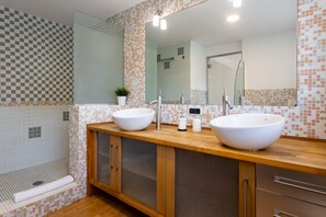 Shower, hair dryer, bidet, towels