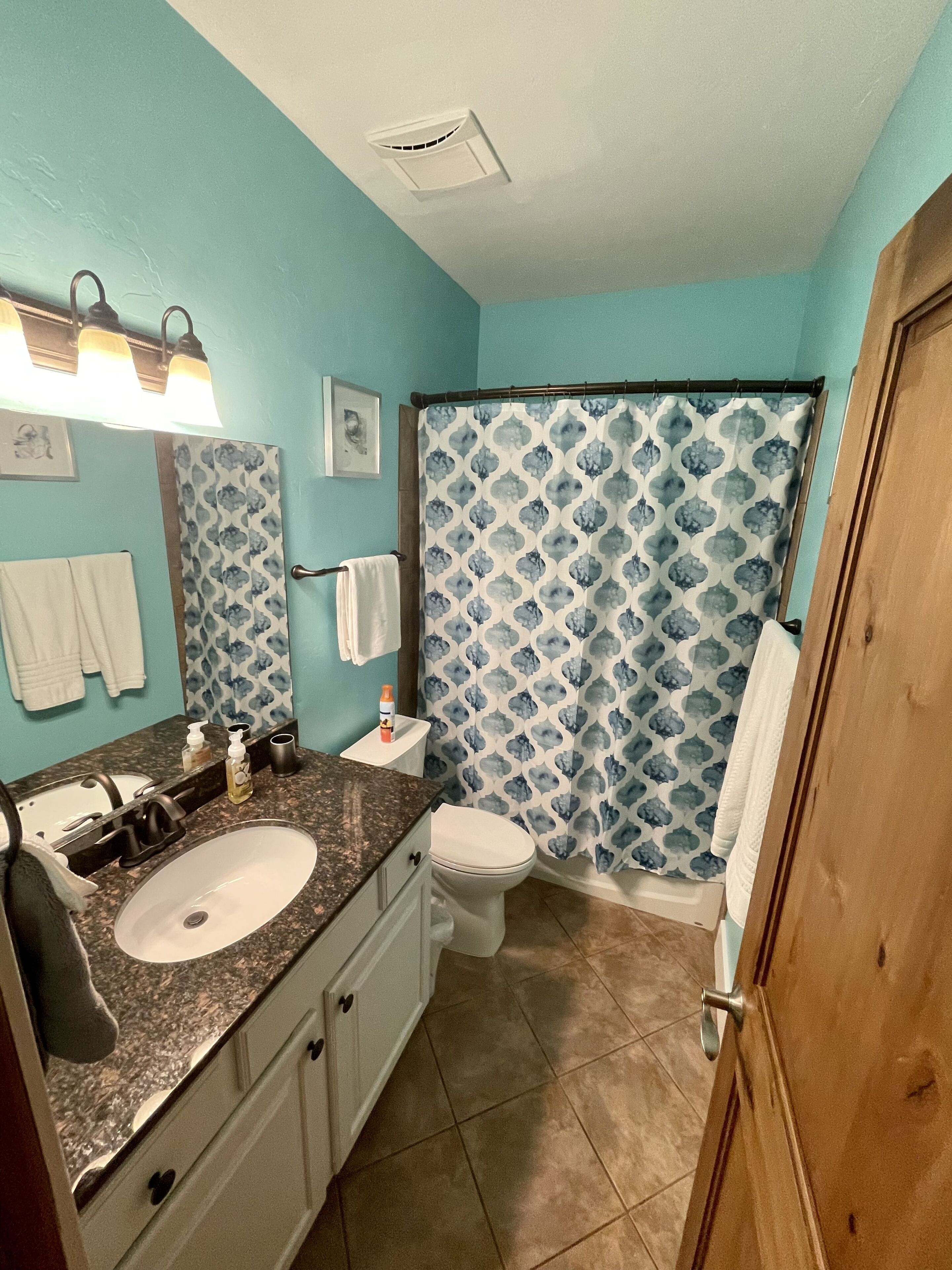 Combined shower/tub, jetted tub, hair dryer, towels