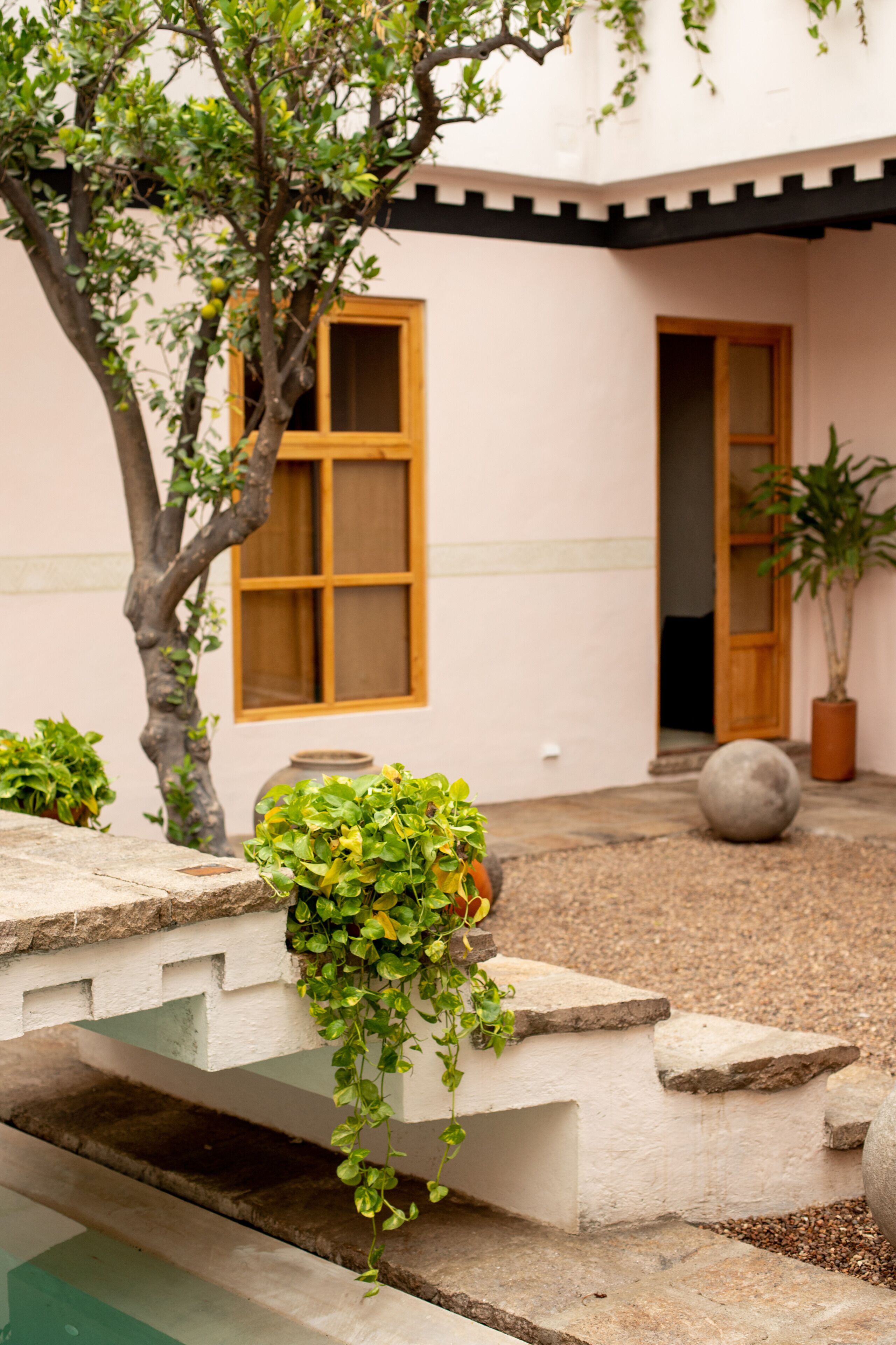 A courtyard with a tree, a potted plant, a stone bench, and a building with a window and door.