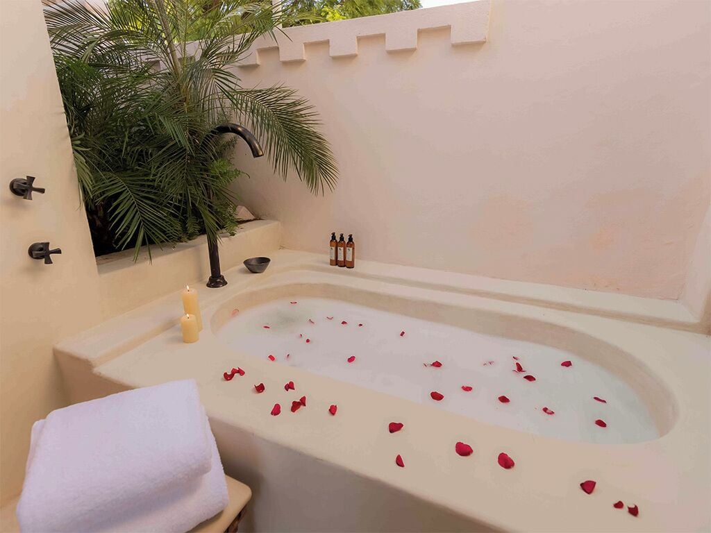 A bathtub with rose petals, a towel, and a bottle of lotion.