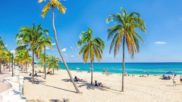 A beach with palm trees, a sandy shore, and people relaxing. - 15 Mins to Beach! Safe & Quiet Home Near Beach & Downtown~Heated Pool~Ping Pong/Foosball. (Fort Lauderdale)