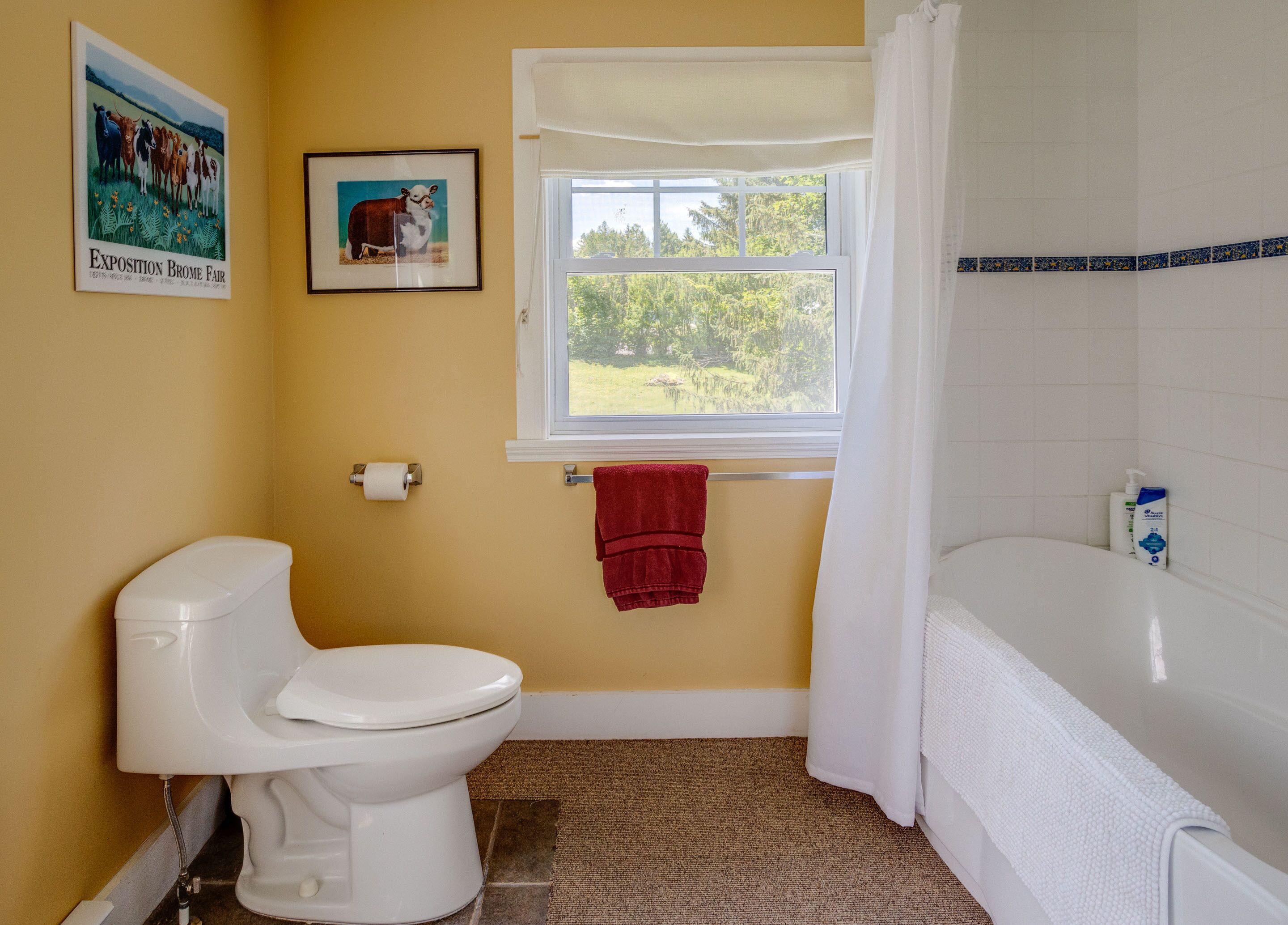 Ein Badezimmer mit Toilette, einem Fenster mit Blick auf Grünflächen, einem roten Handtuch und einer weißen Badewanne.