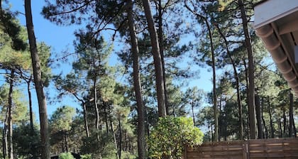 NATURIST STUDIO RENTAL