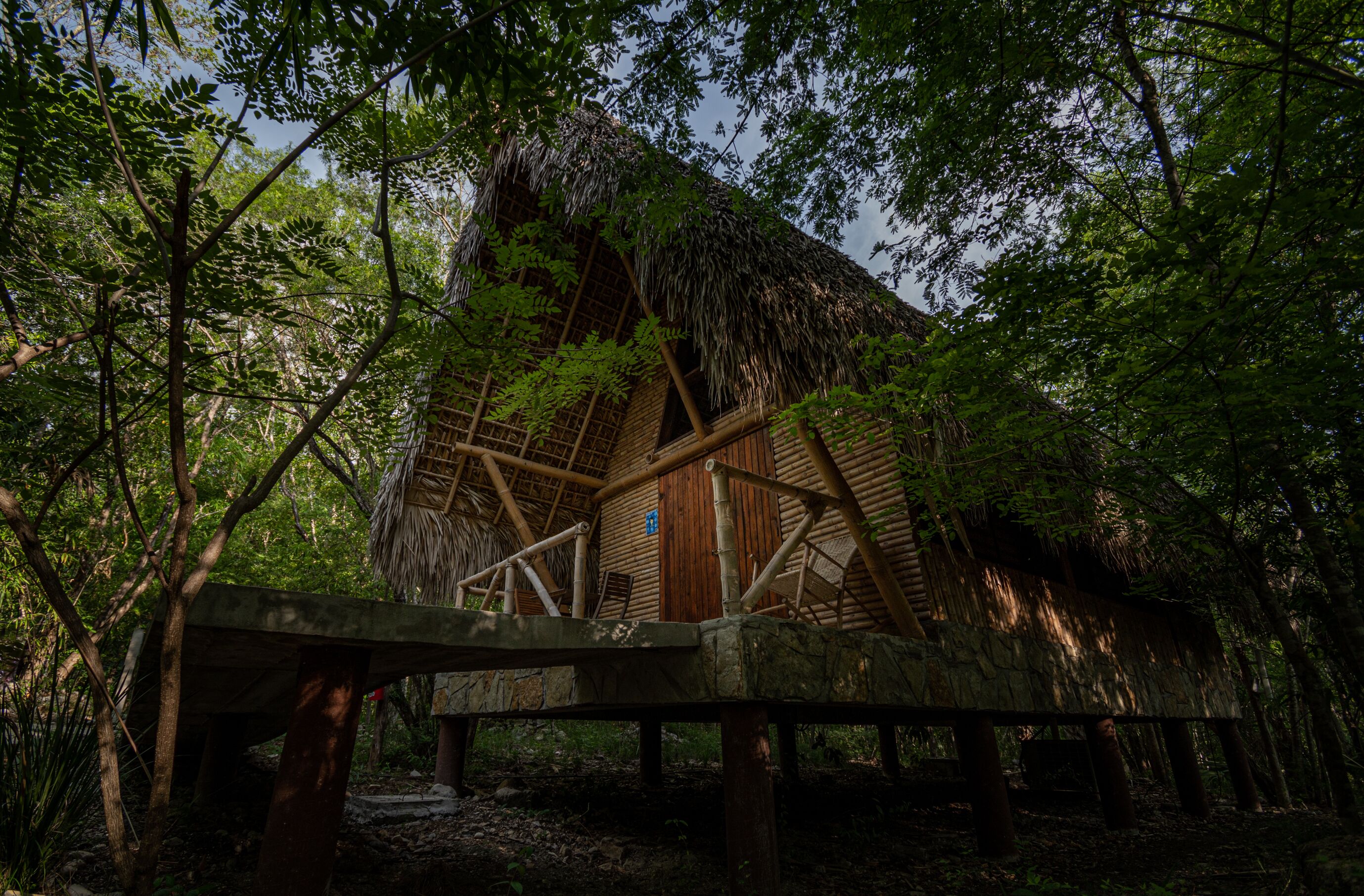 Una casa en árbol con techo de paja, paredes de madera y una escalera de madera que lleva a la entrada.