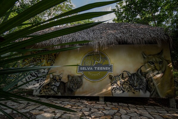 A mural with various wild cats and the text "Selva Teenek Ecopark". - Selva Teenek (Ciudad Valles)