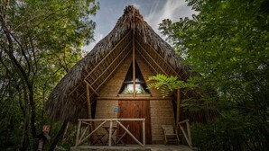 A thatched-roof hut with a wooden door and windows, surrounded by trees. - Selva Teenek (Ciudad Valles)