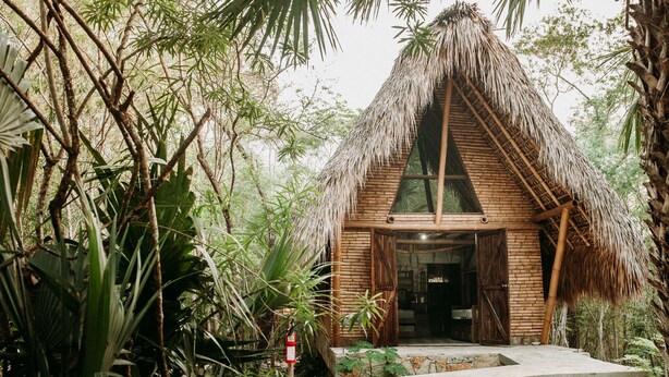 A thatched-roof hut with a wooden frame, surrounded by dense tropical foliage. - Selva Teenek (Ciudad Valles)