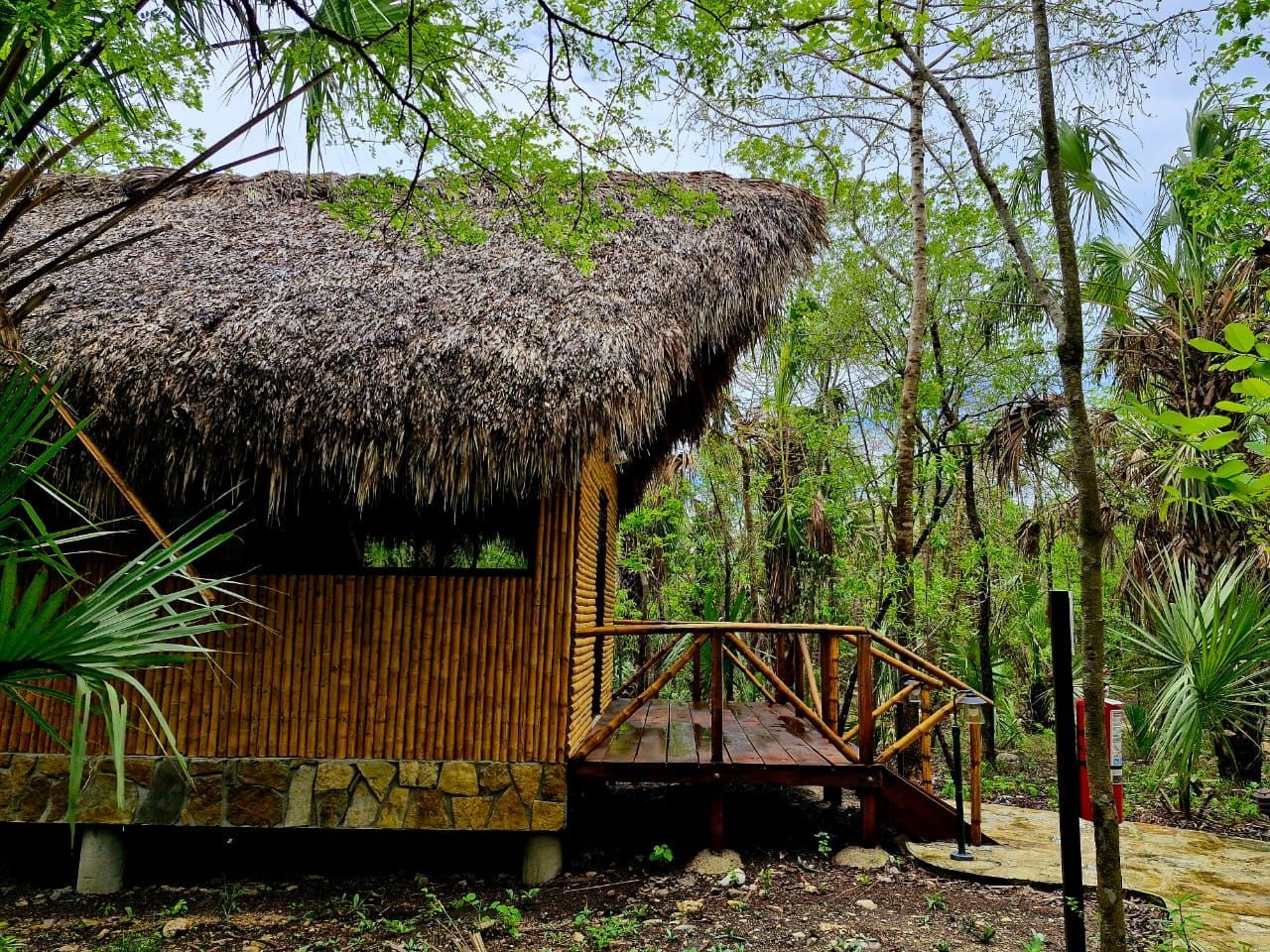 A rustic hut with a thatched roof, wooden walls, and a wooden deck leading to the entrance.