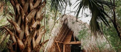 Une cabane en bois rustique, entourée d’une végétation tropicale luxuriante, notamment d’un grand palmier.