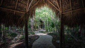 A stone pathway leading through a bamboo structure surrounded by dense foliage. - Selva Teenek (Ciudad Valles)