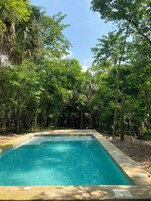 A rectangular pool surrounded by dense greenery and trees.