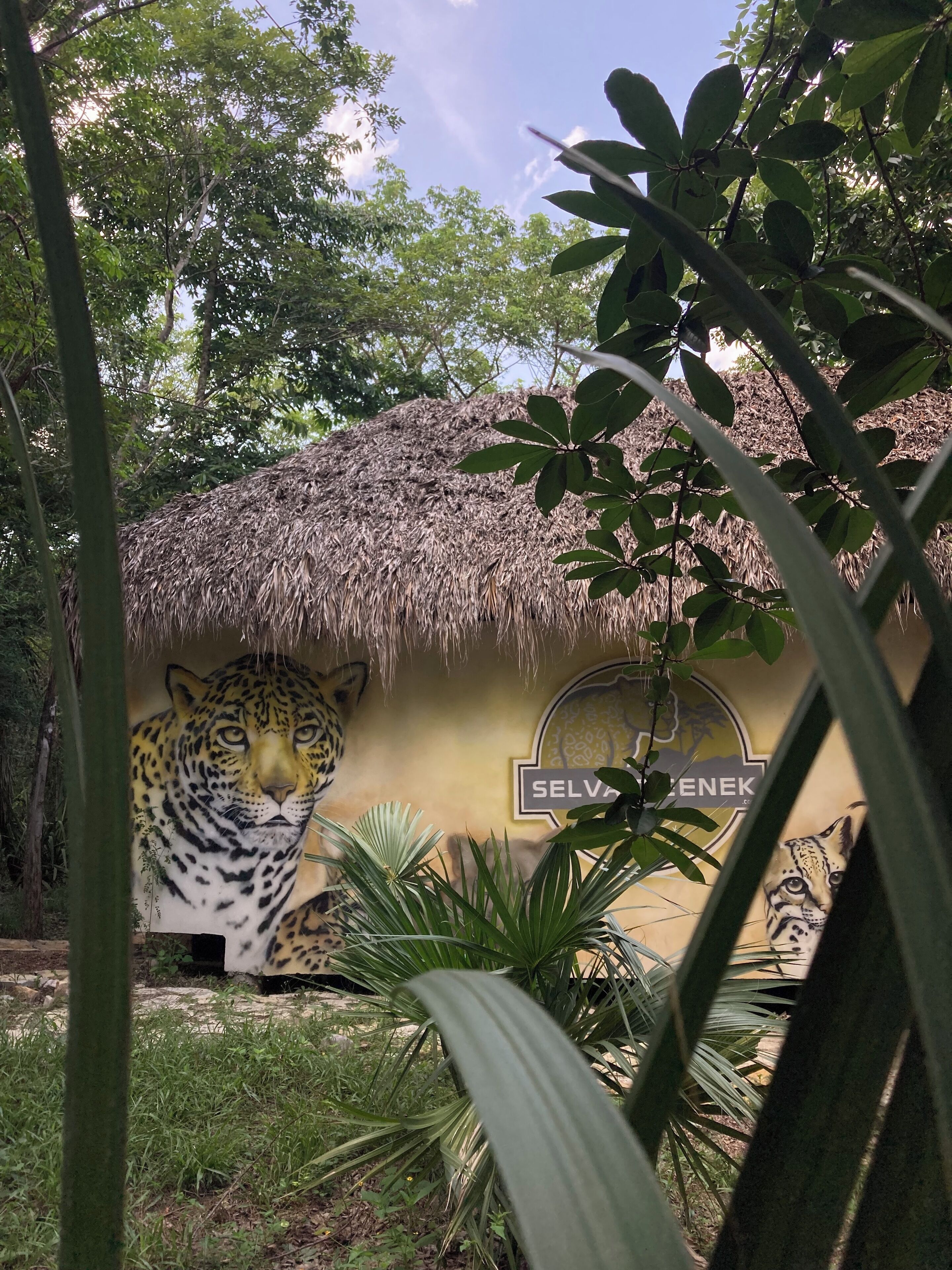 Estructura de techo de paja con un mural de leopardo y el logotipo 'SELVAENEK'.