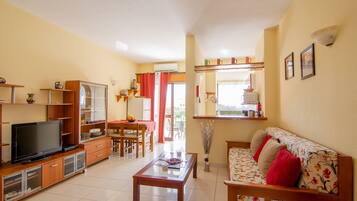 Smart TV, DVD player, books