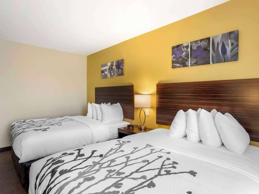 Una habitación de hotel con dos camas, cabecera de madera, mesita de noche y decoración en la pared.