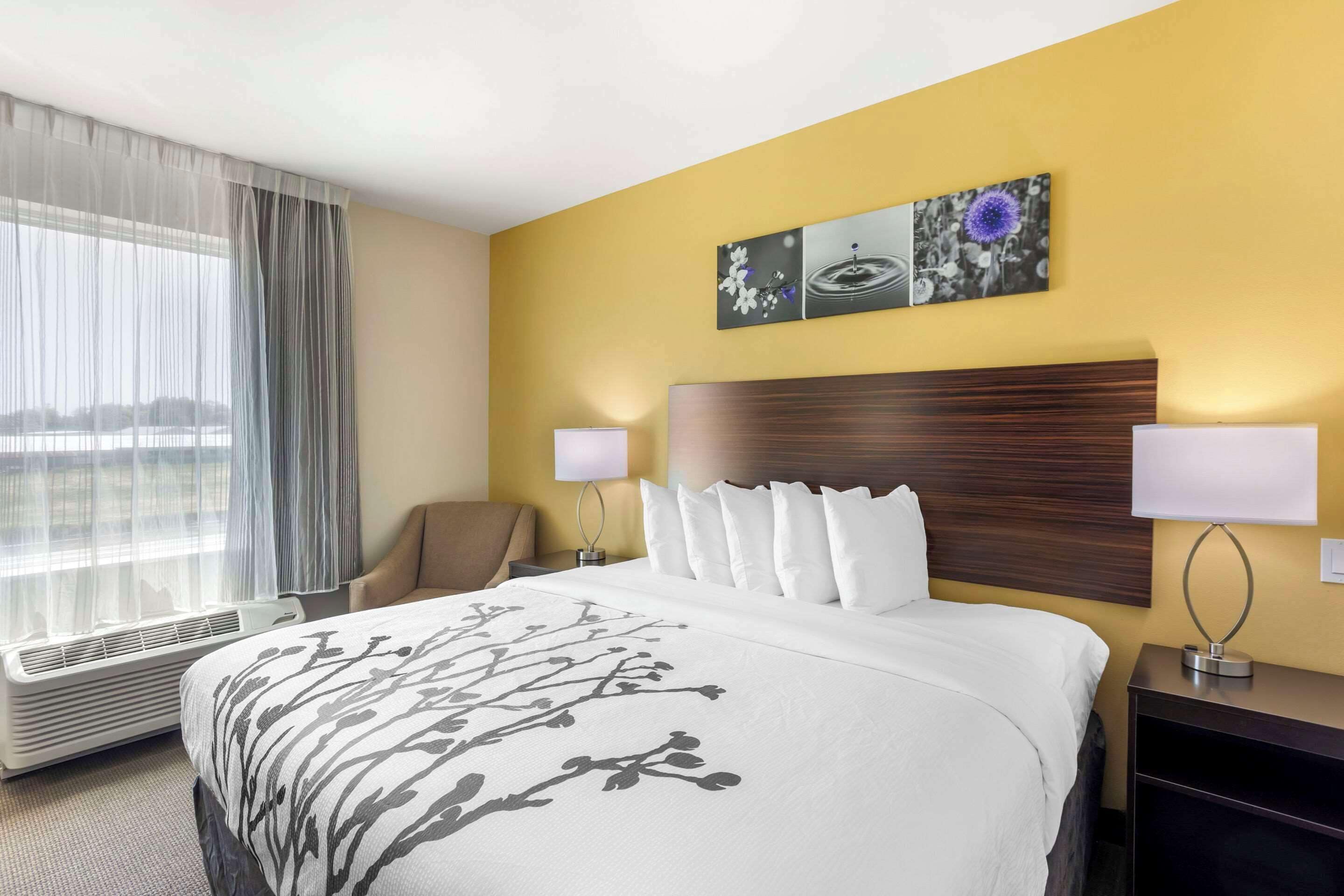 Une chambre d’hôtel avec un grand lit, deux lampes de chevet, une chaise, une œuvre d’art accrochée au mur et une fenêtre avec des rideaux.