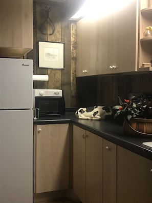 Compact kitchen area with a refrigerator, microwave, and potted plant.