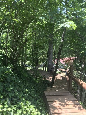Terrain de l’hébergement 
