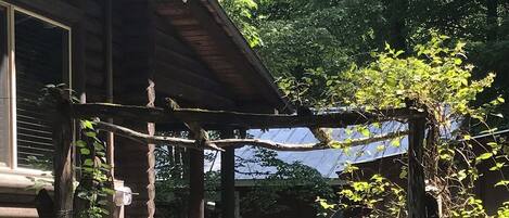 Àrea exterior de l'allotjament