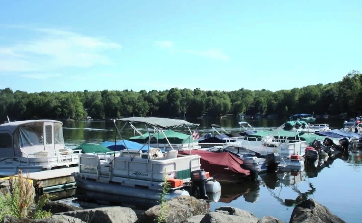 A marina with various boats docked, surrounded by trees and calm water.