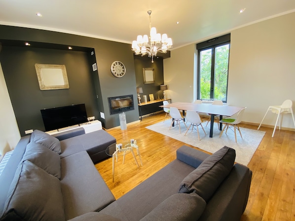 TV, fireplace, DVD player, books