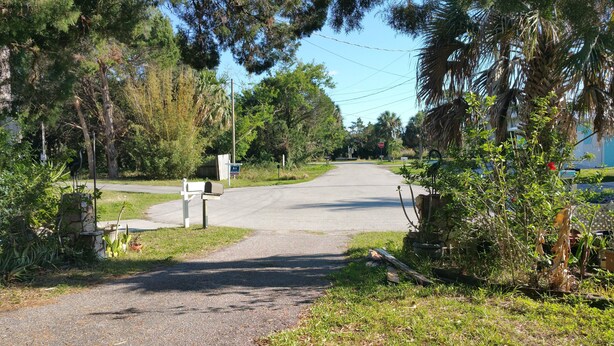Una calle residencial tranquila con un buzón, una señal de parada y abundante vegetación.
