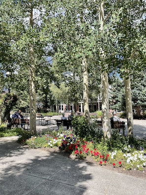 Terraza o patio