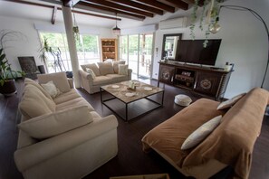 TV, caminetto, impianto stereo