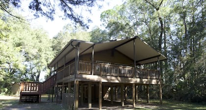 “Historic Route 66 Cabin in Downtown Ocala”