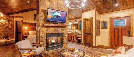 TV connectée, cheminée, lecteur de DVD, livres