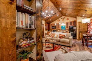 TV connectée, cheminée, lecteur de DVD, livres