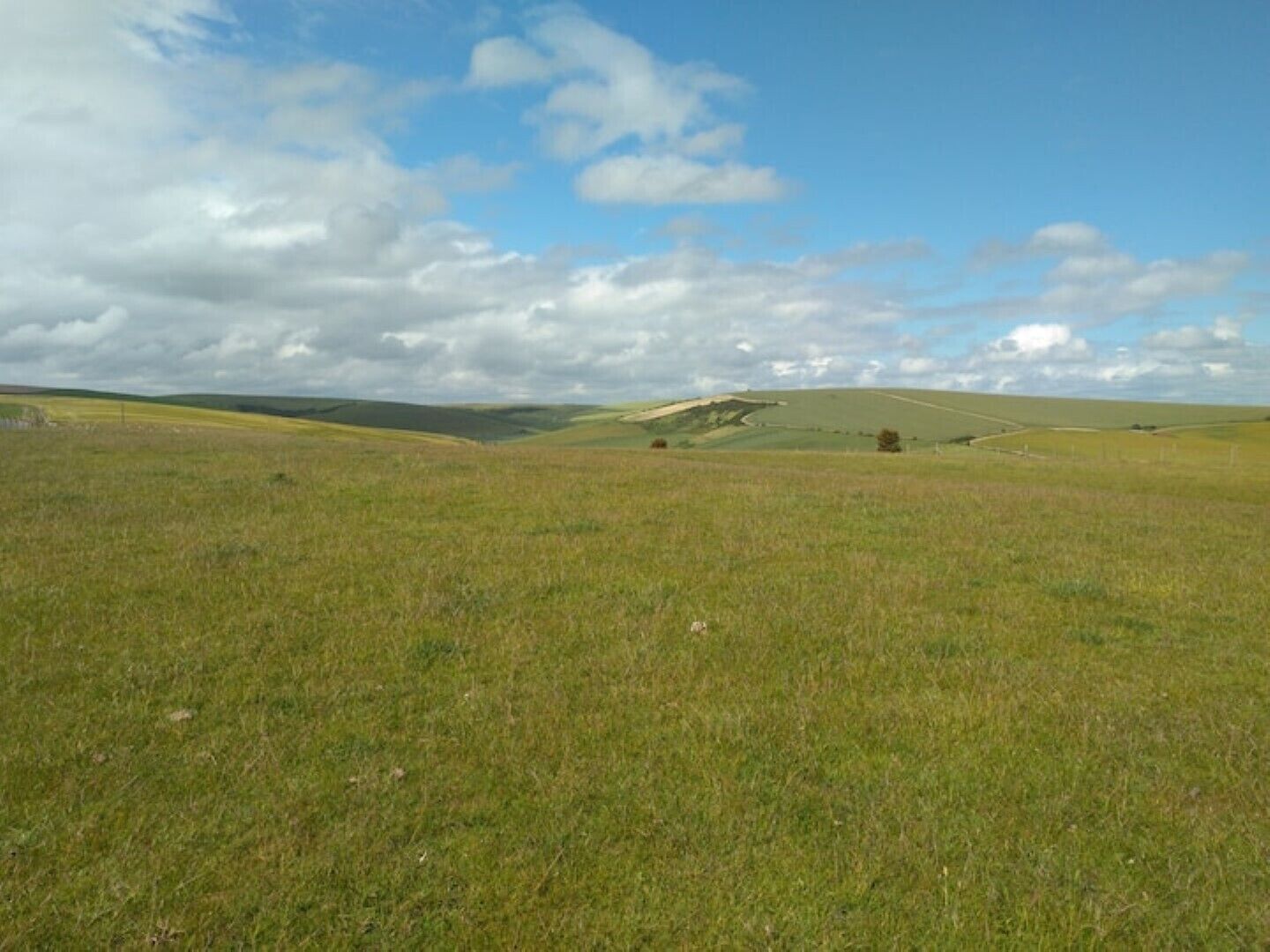 Stag Cottage Rottingdean South Downs Great Walks