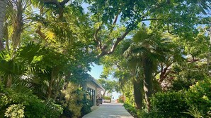 Un chemin bordé d’une végétation luxuriante et d’arbres, qui mène à un bâtiment doté d’une zone abritée.