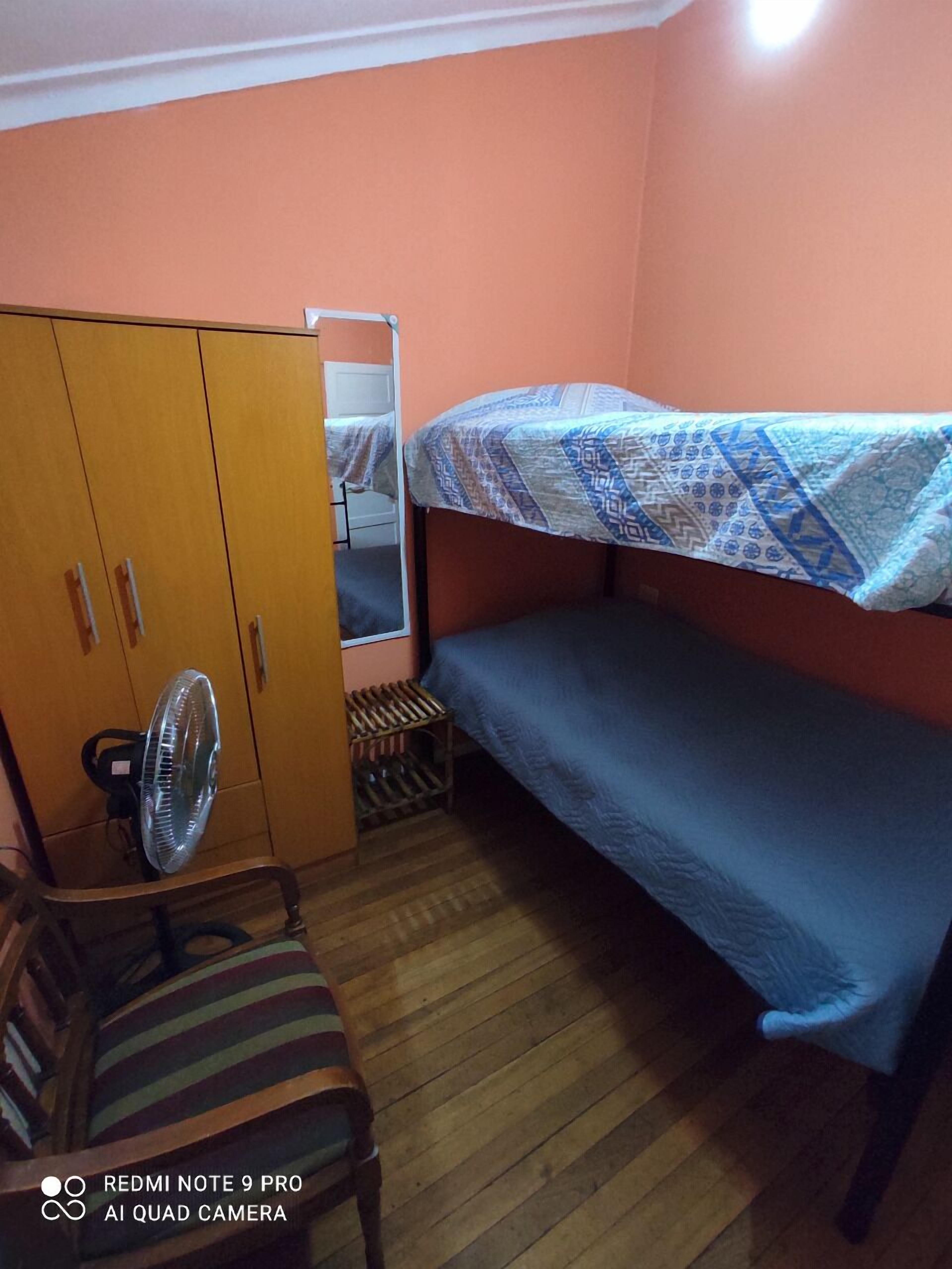 Foto - Gatos de campo, tiernos y traviesos