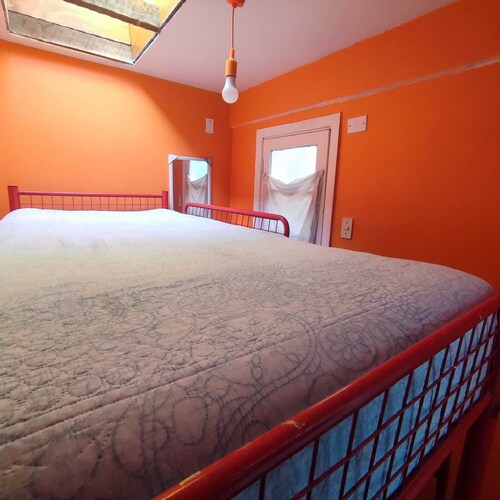 Hotel Gatos de campo tiernos y traviesos