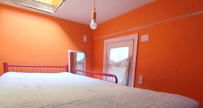 Hotel Gatos de campo tiernos y traviesos