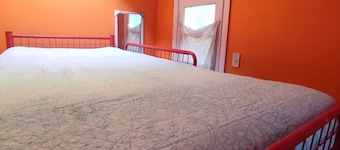 Hotel Gatos de campo tiernos y traviesos