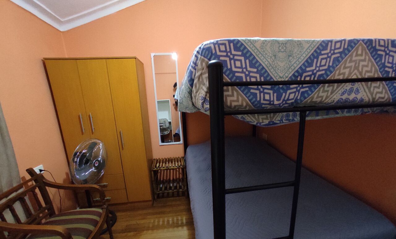 Foto - Gatos de campo, tiernos y traviesos