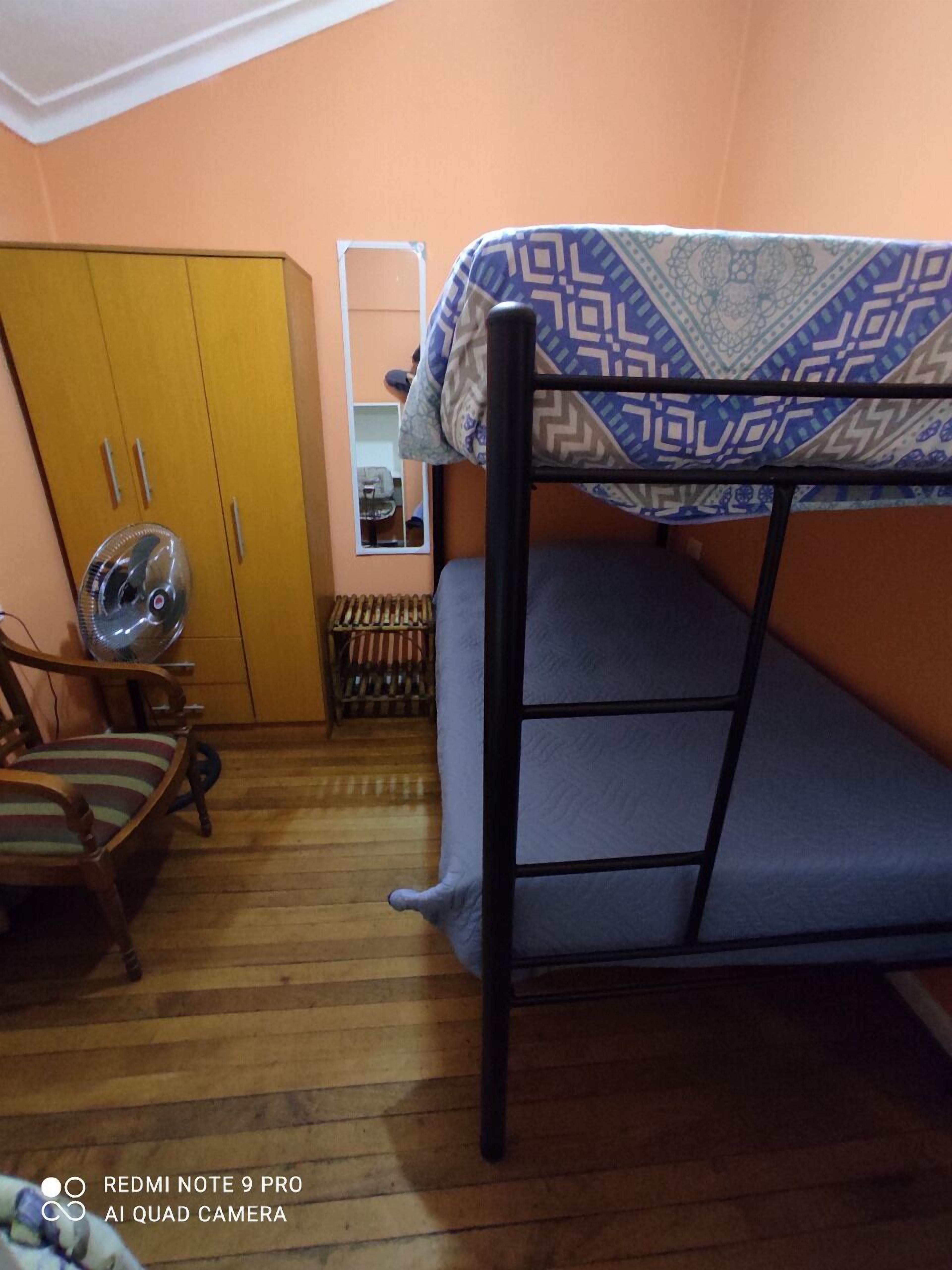 Foto - Gatos de campo, tiernos y traviesos