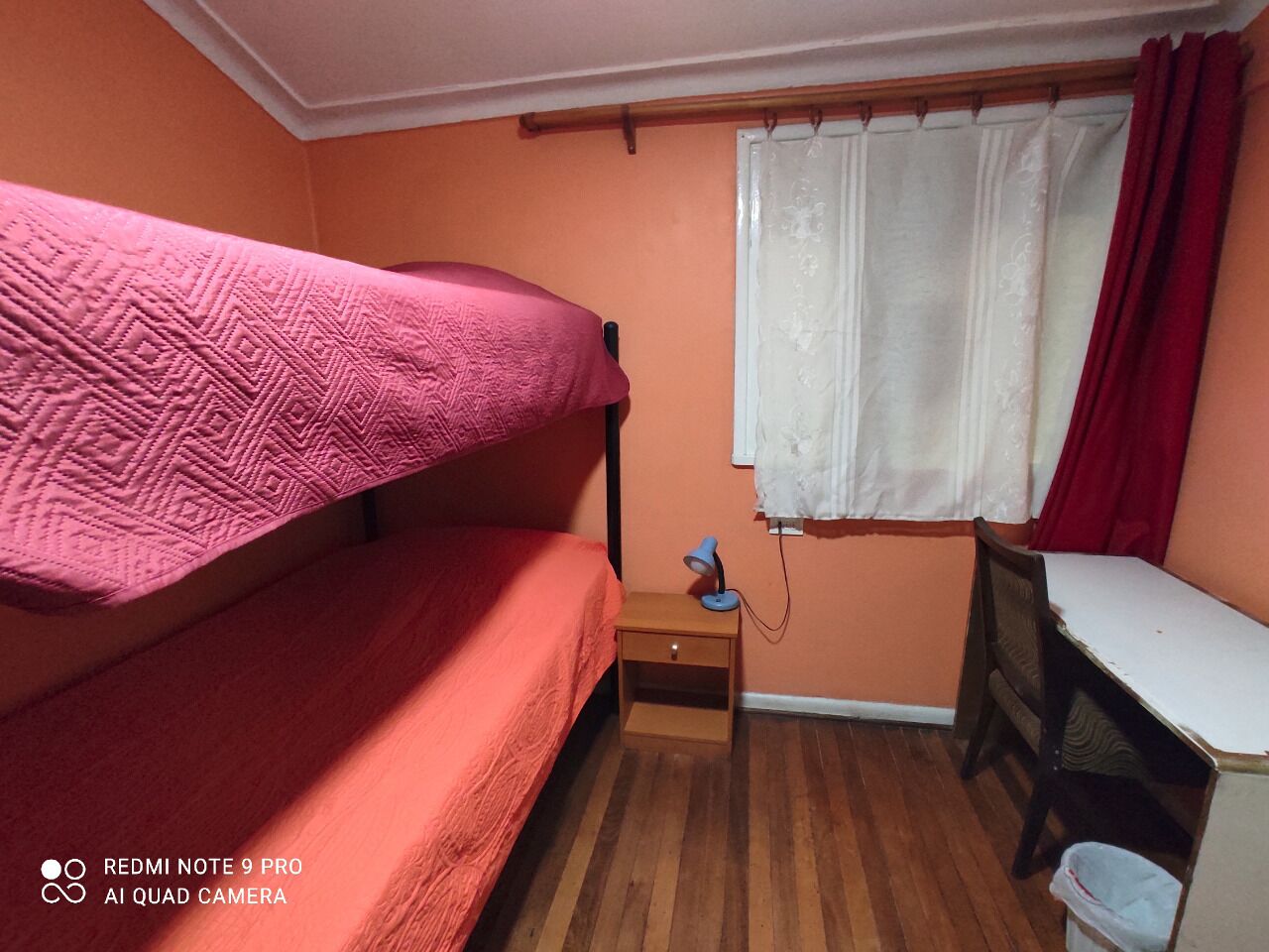 Foto - Gatos de campo, tiernos y traviesos