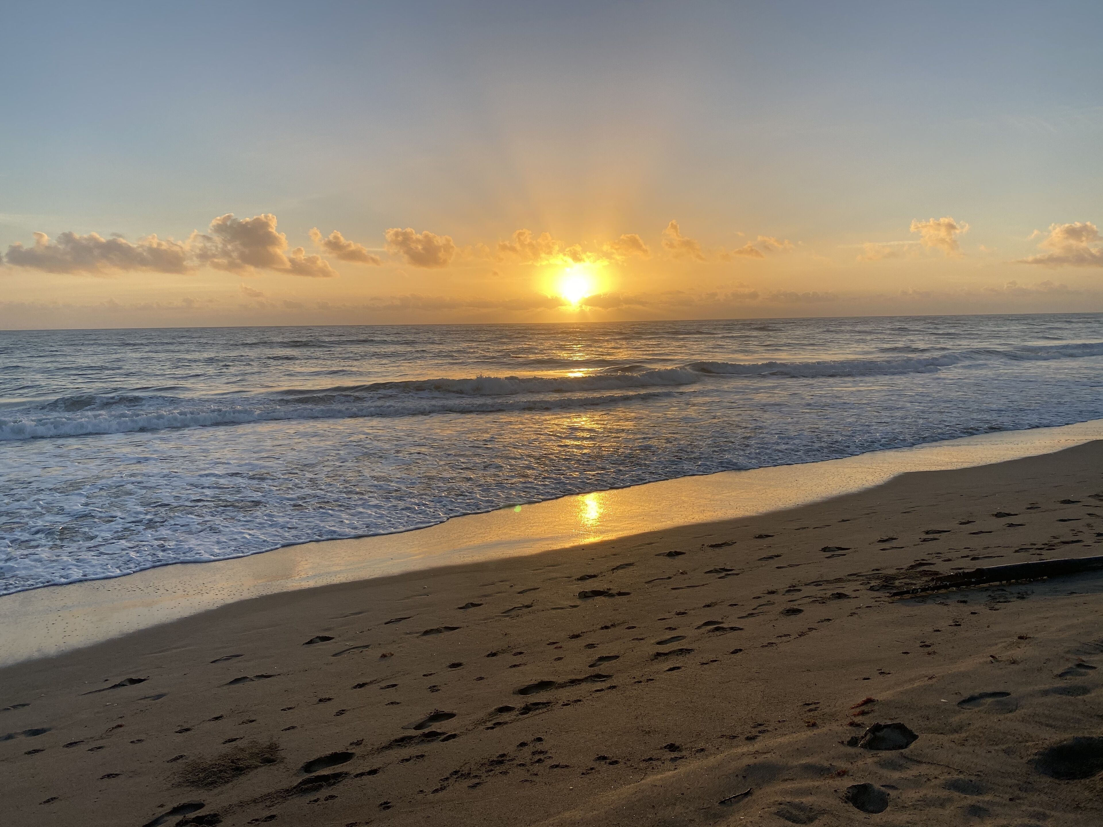 Plage à proximité, chaises longues, serviettes de plage