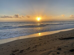 Beach nearby, sun loungers, beach towels - Tropical Beach Destination (Fort Pierce)