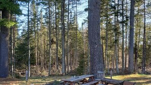 Een camping met een houten tafel, banken, een vuurkorf en gestapeld hout.