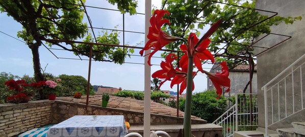 Una terraza con mesa y sillas, rodeada de macetas y una flor roja.